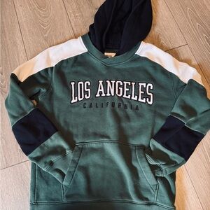 Hollister Forest Green and Navy Men's Hoodie